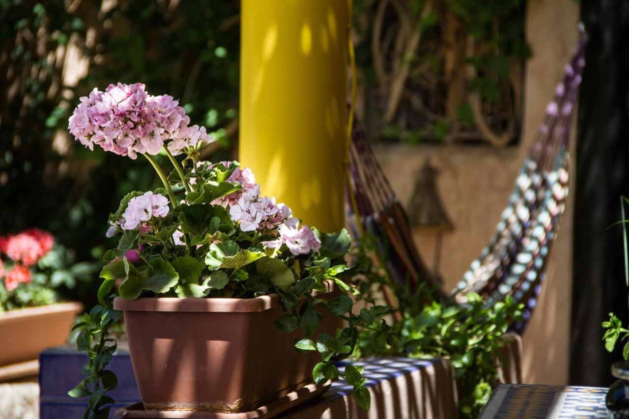 Riad Tama & Spa Ouarzazate Exterior foto